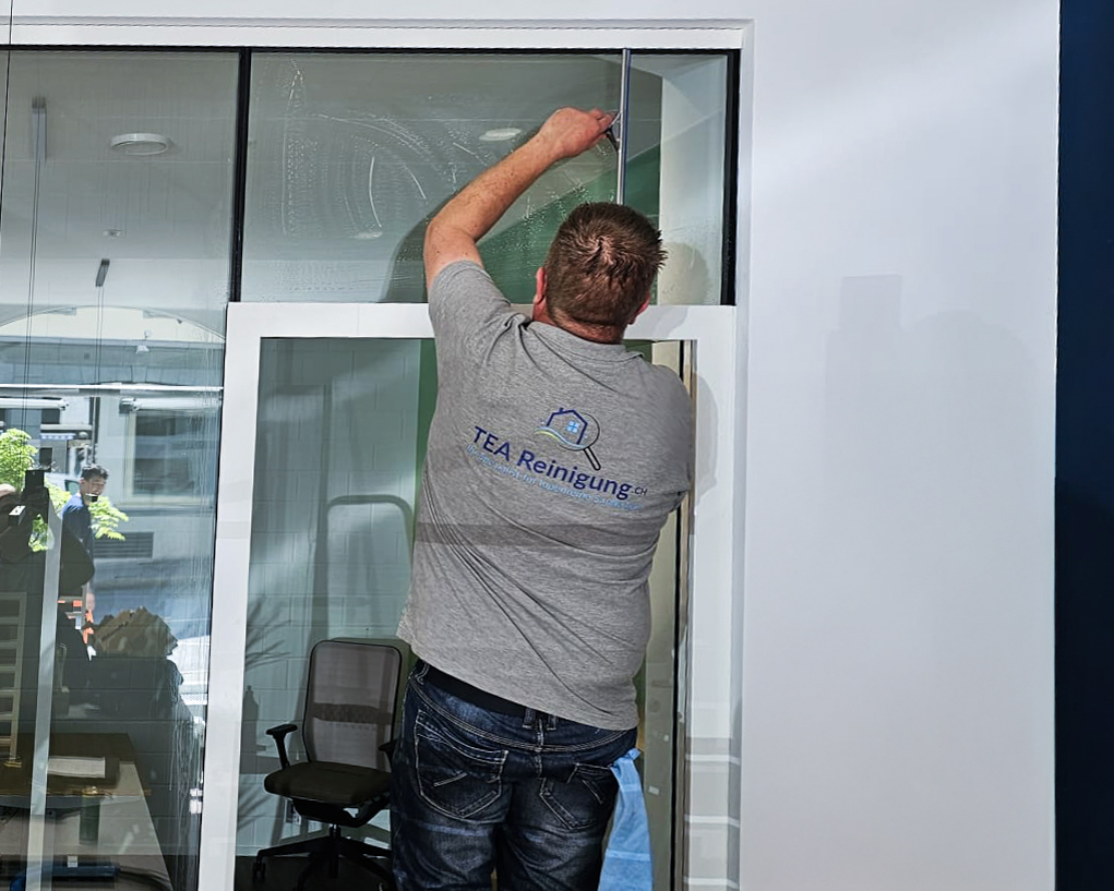 TEA Reinigung